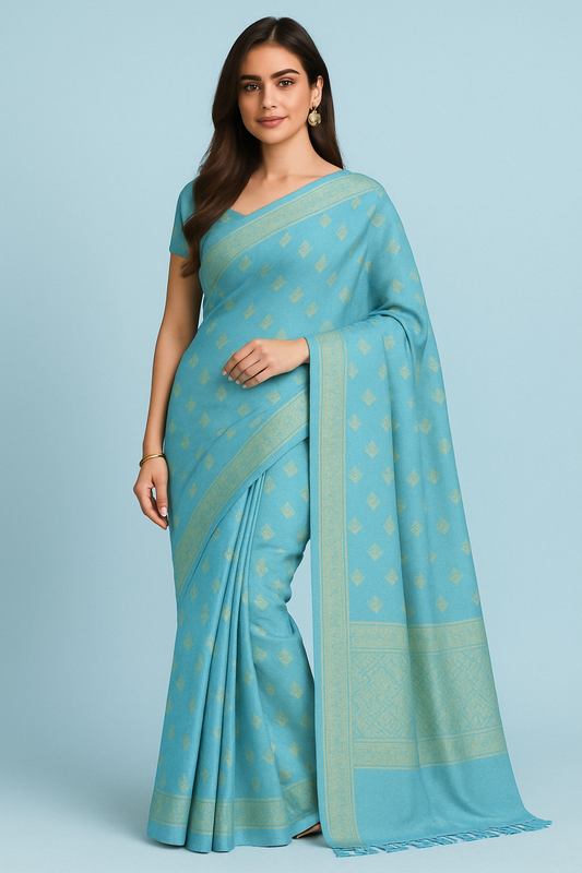 Young Indian woman in a sky blue Banarasi silk saree with gold zari design posing elegantly